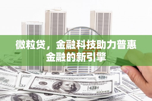 芦淞微粒贷，金融科技助力普惠金融的新引擎