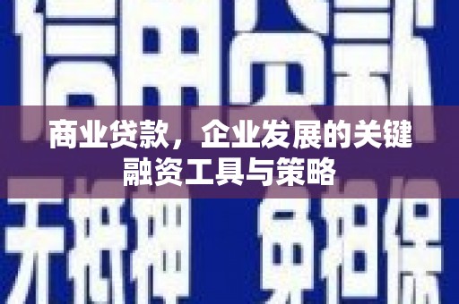 芦淞商业贷款，企业发展的关键融资工具与策略