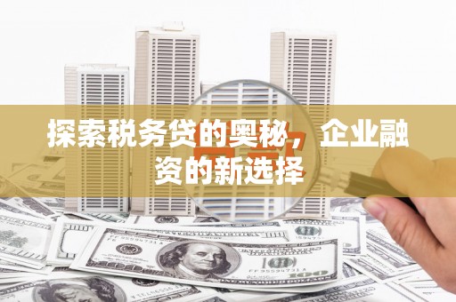 芦淞探索税务贷的奥秘，企业融资的新选择