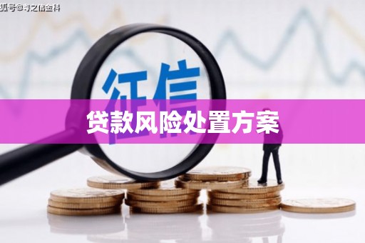 芦淞贷款风险处置方案