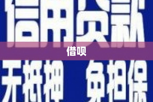 芦淞借呗