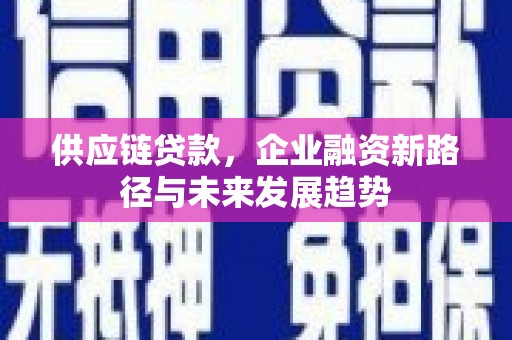芦淞供应链贷款，企业融资新路径与未来发展趋势