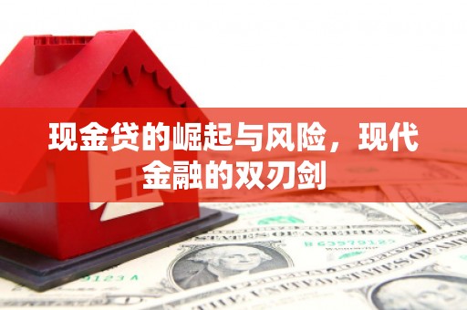 芦淞现金贷的崛起与风险，现代金融的双刃剑