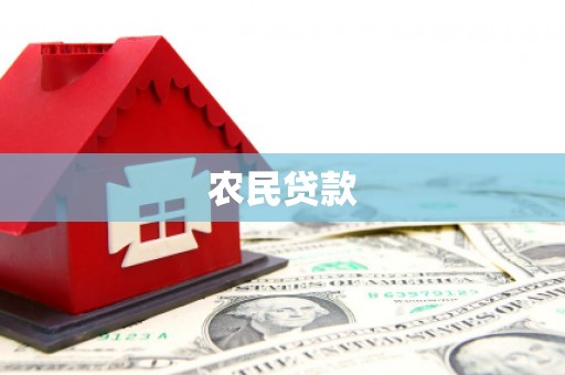 芦淞农民贷款