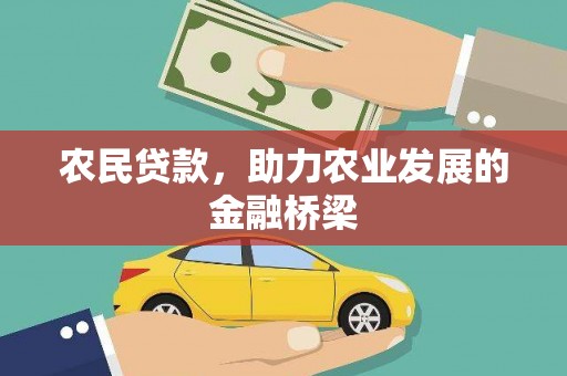 芦淞农民贷款，助力农业发展的金融桥梁