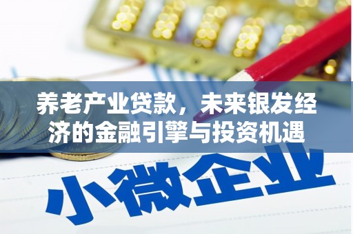 芦淞养老产业贷款，未来银发经济的金融引擎与投资机遇