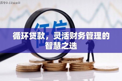 芦淞循环贷款，灵活财务管理的智慧之选