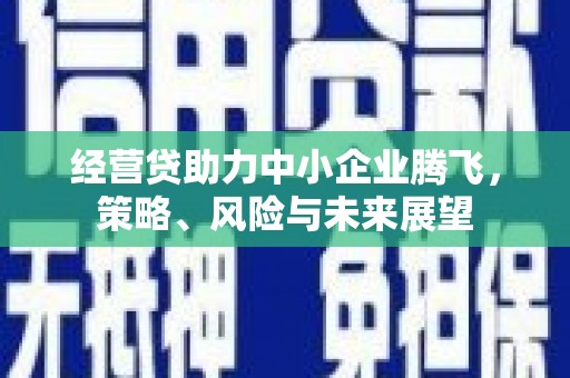 芦淞经营贷助力中小企业腾飞，策略、风险与未来展望