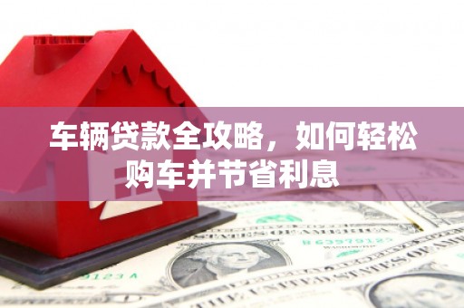 芦淞车辆贷款全攻略，如何轻松购车并节省利息