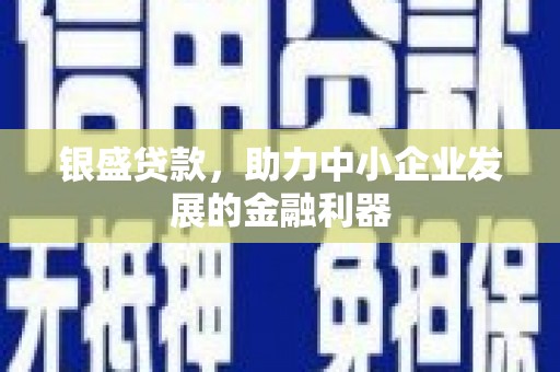 芦淞银盛贷款，助力中小企业发展的金融利器