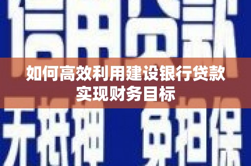 芦淞如何高效利用建设银行贷款实现财务目标