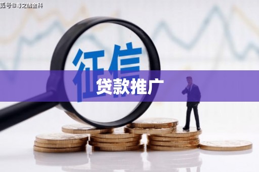 芦淞贷款推广