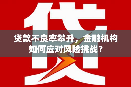 芦淞贷款不良率攀升，金融机构如何应对风险挑战？