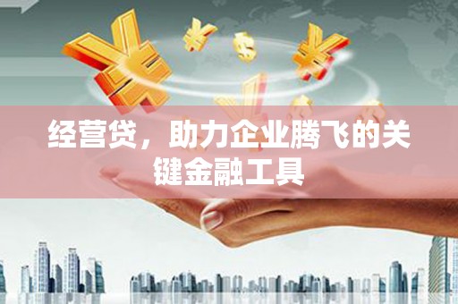芦淞经营贷，助力企业腾飞的关键金融工具