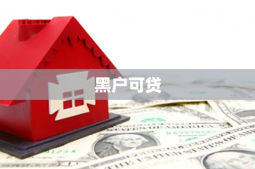 芦淞黑户可贷