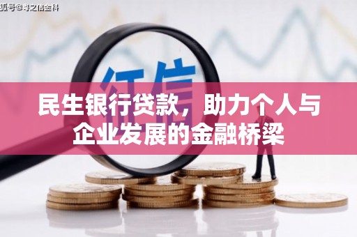 芦淞民生银行贷款，助力个人与企业发展的金融桥梁