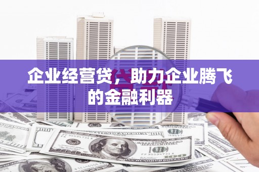 芦淞企业经营贷，助力企业腾飞的金融利器