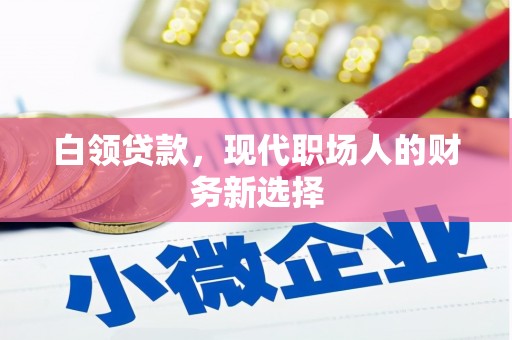 芦淞白领贷款，现代职场人的财务新选择