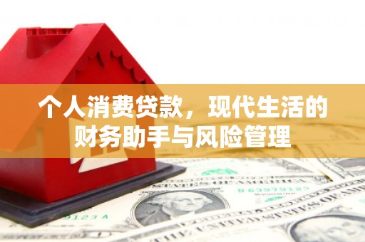 芦淞个人消费贷款，现代生活的财务助手与风险管理