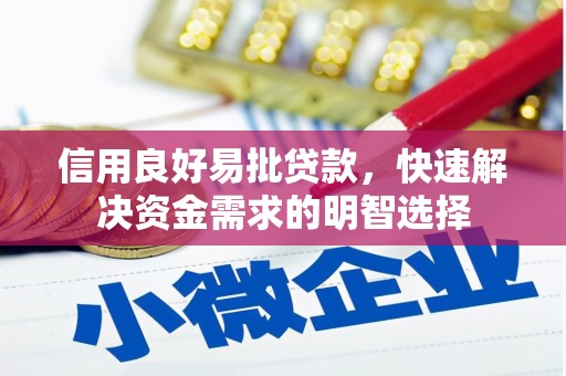 芦淞信用良好易批贷款，快速解决资金需求的明智选择