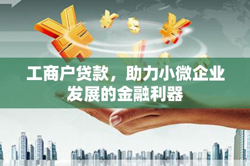 芦淞工商户贷款，助力小微企业发展的金融利器