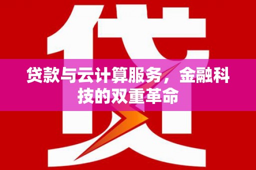 芦淞贷款与云计算服务，金融科技的双重革命