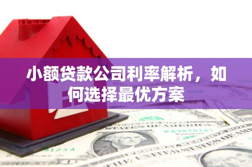 芦淞小额贷款公司利率解析，如何选择最优方案