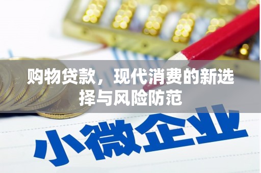 芦淞购物贷款，现代消费的新选择与风险防范