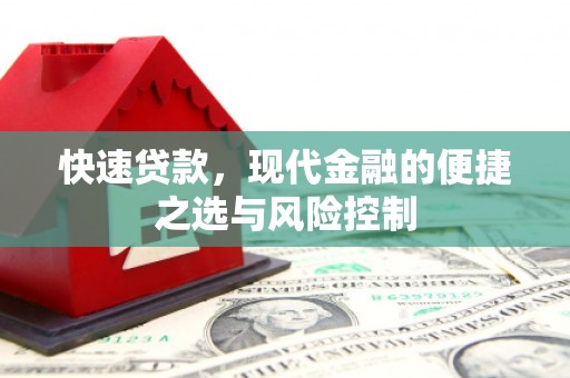 芦淞快速贷款，现代金融的便捷之选与风险控制