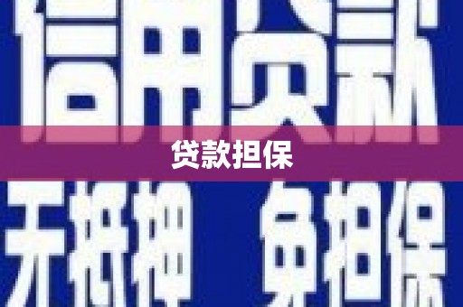 芦淞贷款担保
