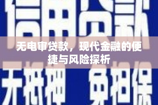 芦淞无电审贷款，现代金融的便捷与风险探析