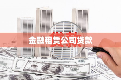 芦淞金融租赁公司贷款