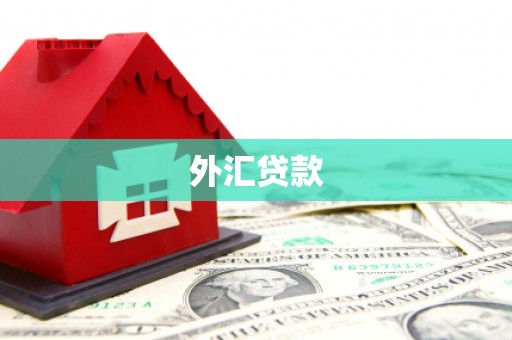 芦淞外汇贷款