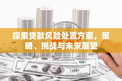 芦淞探索贷款风险处置方案，策略、挑战与未来展望