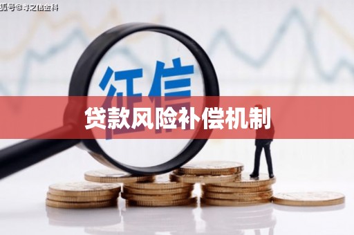 芦淞贷款风险补偿机制