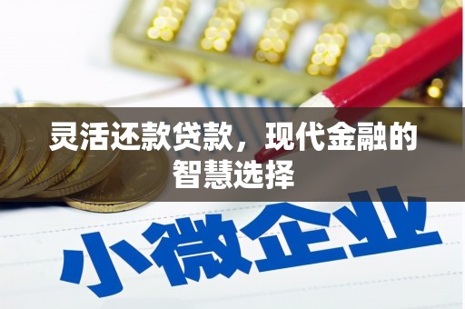 芦淞灵活还款贷款，现代金融的智慧选择