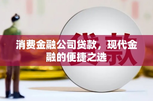 芦淞消费金融公司贷款，现代金融的便捷之选