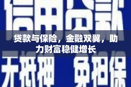 芦淞贷款与保险，金融双翼，助力财富稳健增长