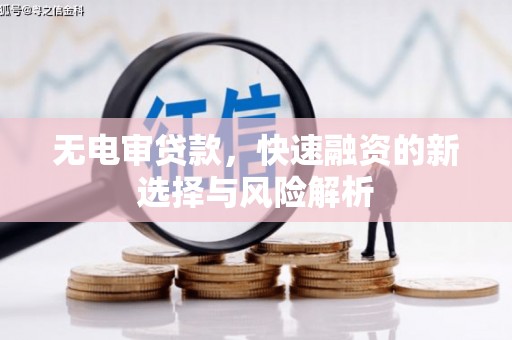 芦淞无电审贷款，快速融资的新选择与风险解析