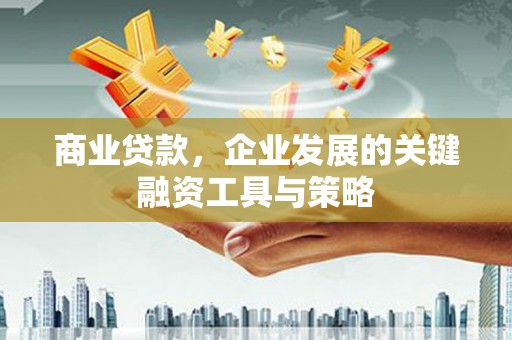 芦淞商业贷款，企业发展的关键融资工具与策略