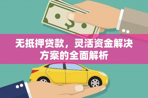 芦淞无抵押贷款，灵活资金解决方案的全面解析