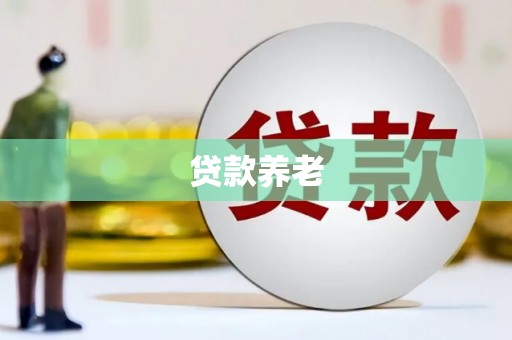 芦淞贷款养老