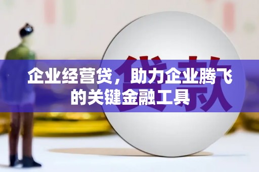 芦淞企业经营贷，助力企业腾飞的关键金融工具