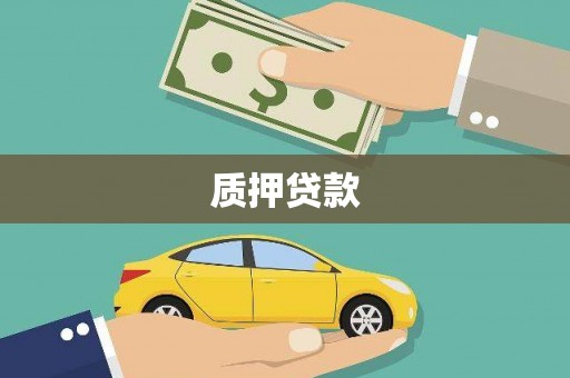 芦淞质押贷款