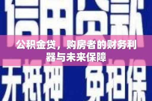 芦淞公积金贷，购房者的财务利器与未来保障