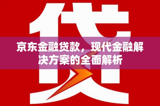 芦淞京东金融贷款，现代金融解决方案的全面解析