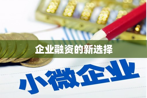 芦淞企业融资的新选择
