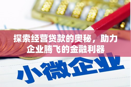 芦淞探索经营贷款的奥秘，助力企业腾飞的金融利器