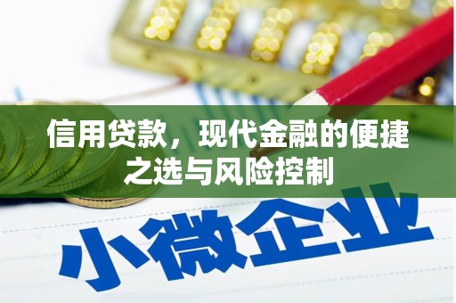 芦淞信用贷款，现代金融的便捷之选与风险控制