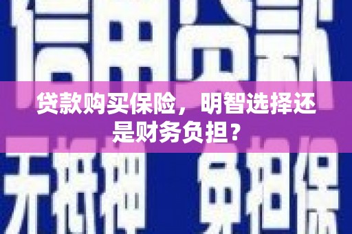芦淞贷款购买保险，明智选择还是财务负担？